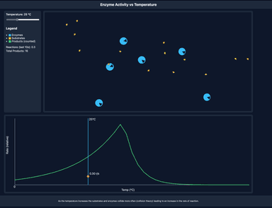 Enzyme Activity vs Temperature