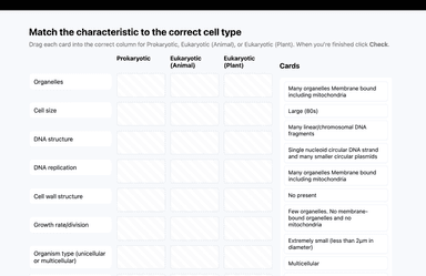Prokaryotic vs Eukaryotic