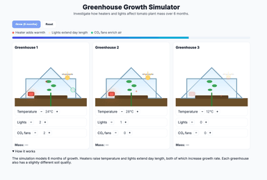Photosynthesis Farmer Greenhouse Tomatoes